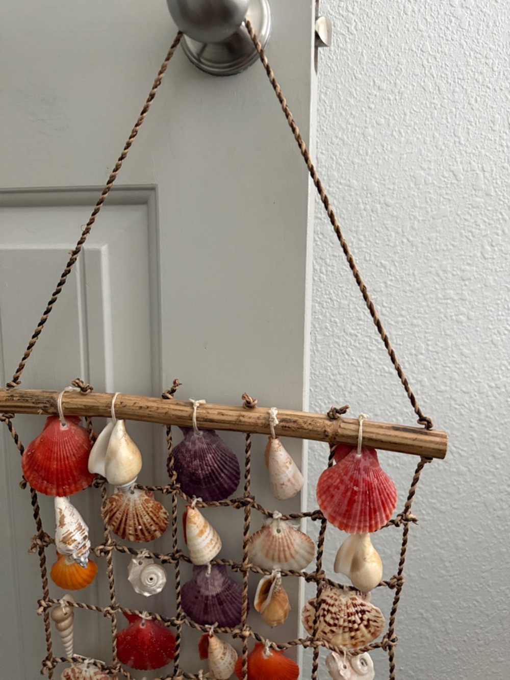 Seashell Hanging Wall Decor - Multicolor - Picture 6 of 7